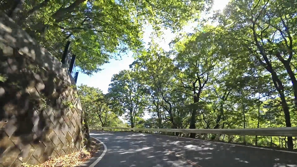 碓氷峠184 碓氷峠ラン184 2016レポート】高低差400mに悶える…ハーフ1:35:56